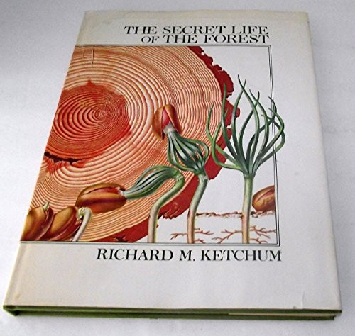 secret life of the forest