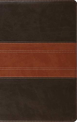 ESV Large Print Personal Size Bible