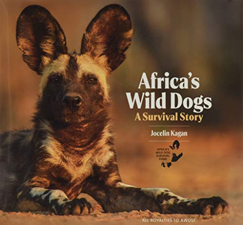 Africa's Wild Dogs: A Survival Story