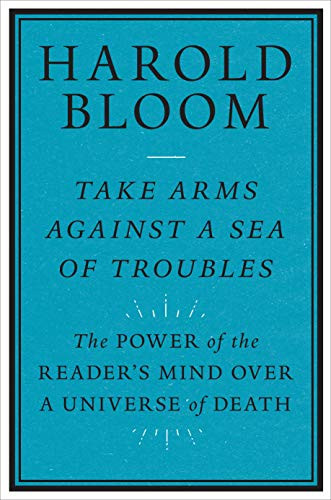 Take Arms Against a Sea of Troubles