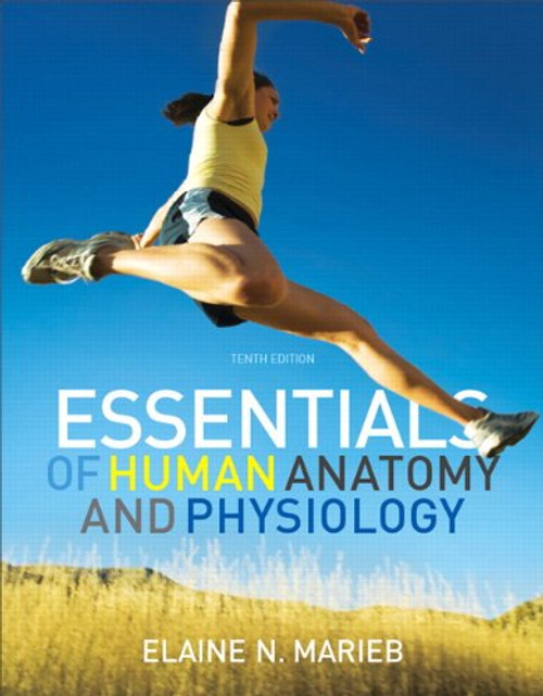 Essentials of Human Anatomy and Physiology