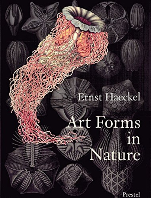 Art Forms in Nature: The Prints of Ernst Haeckel