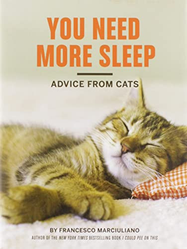You Need More Sleep: Advice from Cats