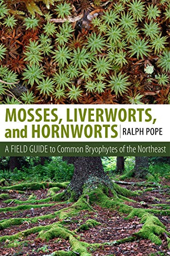 Mosses Liverworts and Hornworts: A Field Guide to Common