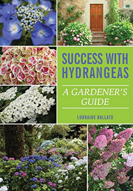 Success With Hydrangeas: A Gardener's Guide