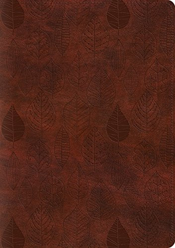ESV Single Column Journaling Bible Large Print