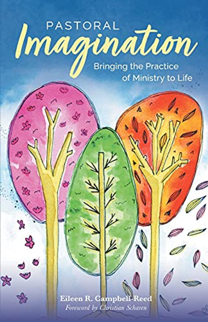 Pastoral Imagination: Bringing the Practice of Ministry to Life