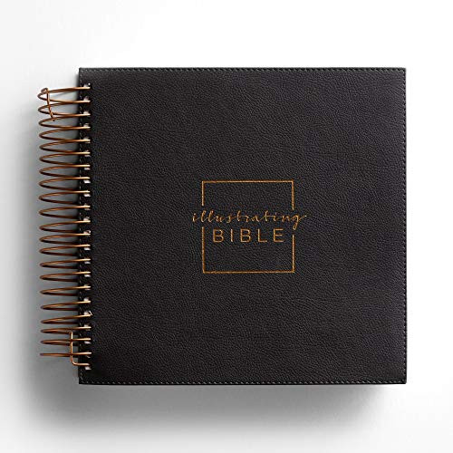 Illustrating Bible NIV Dark Grey