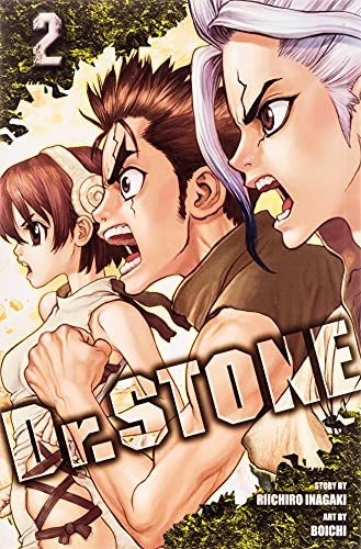 Dr. STONE Vol. 2 (2)
