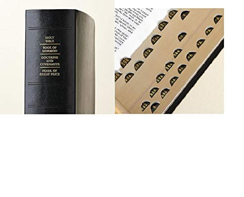 LDS Scriptures - Holy Bible Book of Mormon Doctrine and Covenants