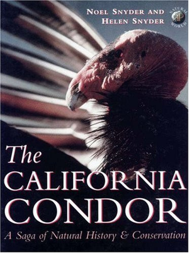 California Condor: A Saga of Natural History and Conservation - Ap