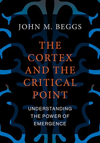 Cortex and the Critical Point