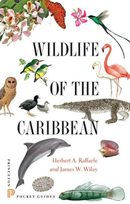 Wildlife of the Caribbean (Princeton Pocket Guides)