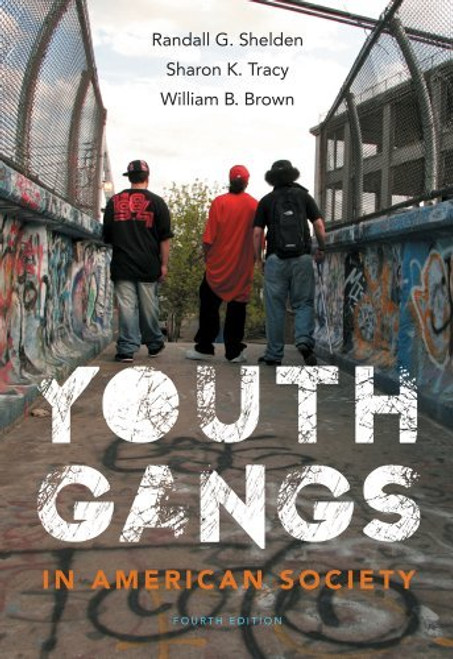 Youth Gangs In American Society