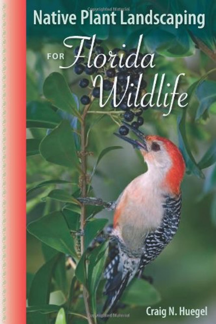 Native Plant Landscaping for Florida Wildlife