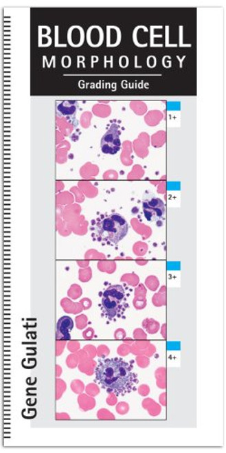 Blood Cell Morphology Grading Guide