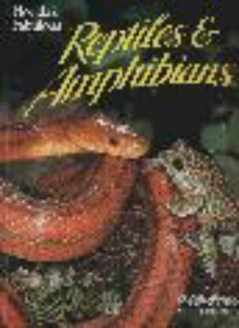 Florida's Fabulous Reptiles and Amphibians