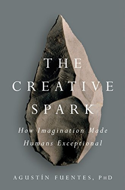 Creative Spark: How Imagination Made Humans Exceptional