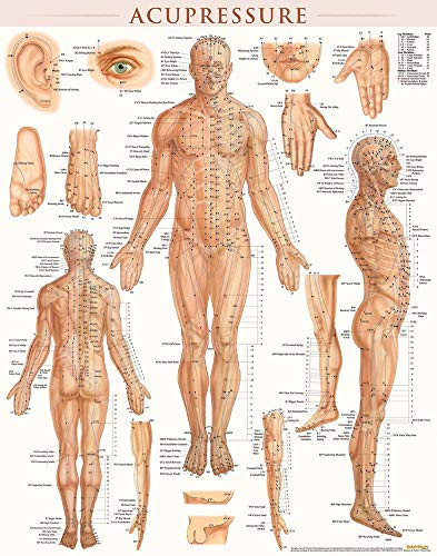 Acupressure Poster (22 x 28 inches) - Laminated