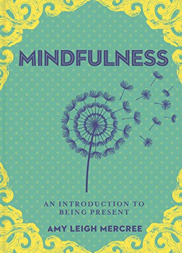 Little Bit of Mindfulness: An Introduction to Being Present Volume 13