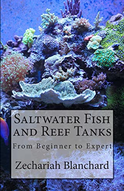 Saltwater Fish and Reef Tanks: From Beginner to Expert