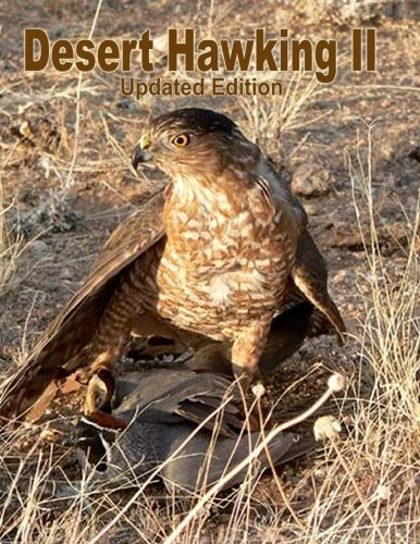 Desert Hawking II Updated