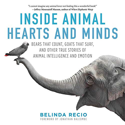 Inside Animal Hearts and Minds