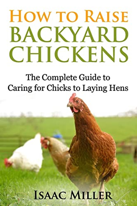 How To Raise Backyard Chickens