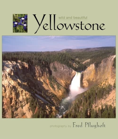 Yellowstone Wild and Beautiful