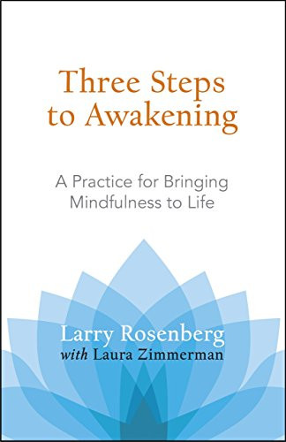 Three Steps to Awakening