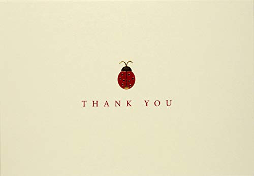 Ladybug Thank You Notes