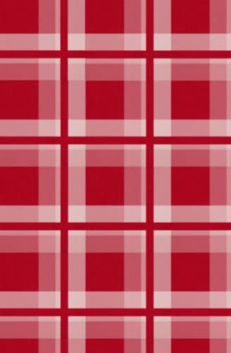 Red Plaid Diary (Anne Frank Design)