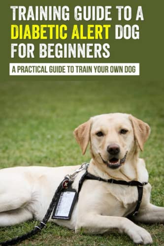 Training Guide To A Diabetic Alert Dog For Beginners