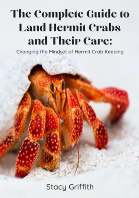 Complete Guide to Land Hermit Crabs and Their Care