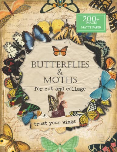 Butterflies and Moths for Cut and Collage