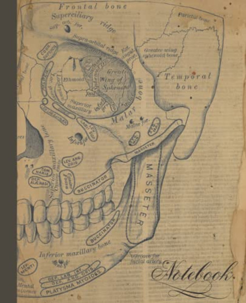Composition Notebook: Vintage Skull Anatomy Illustration Journal