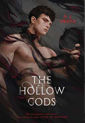 Hollow Gods (The Chaos Cycle)