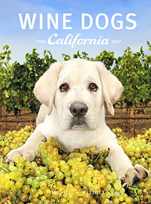 Wine Dogs California 3