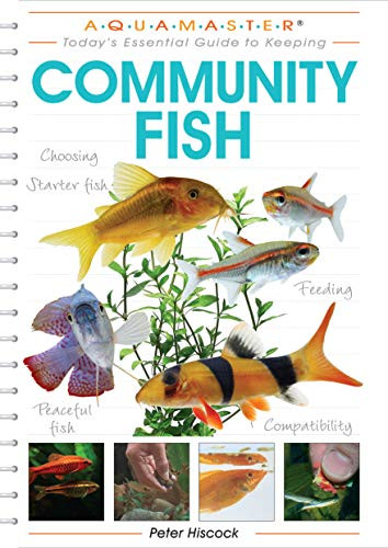 Community Fish (CompanionHouse Books) Choosing Starter Freshwater
