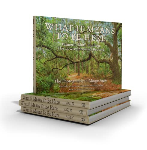 What It Means To Be Here