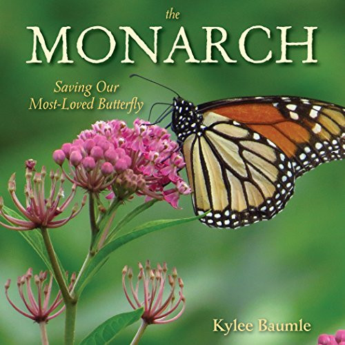 Monarch: Saving Our Most-Loved Butterfly