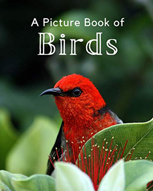 Picture Book of Birds