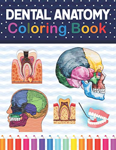 Dental Anatomy Coloring Book