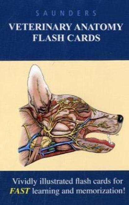 Veterinary Anatomy Flash Cards