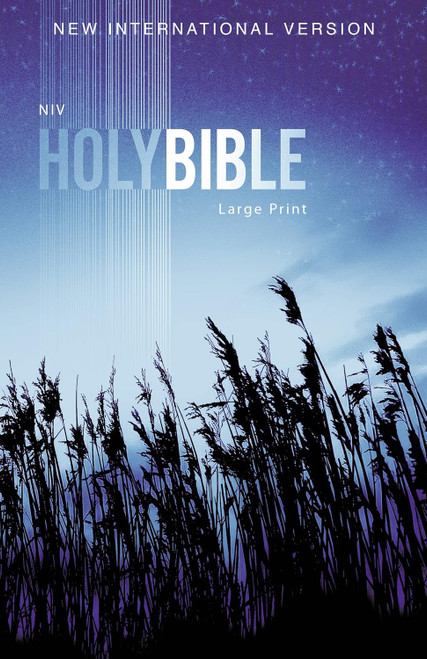 NIV Outreach Bible Large Print Paperback