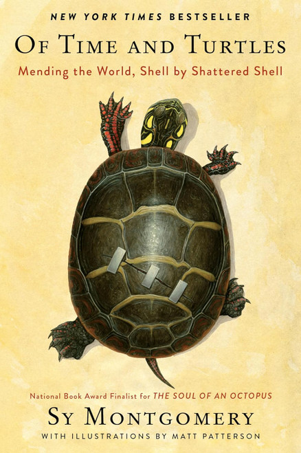 Of Time and Turtles: Mending the World Shell by Shattered Shell