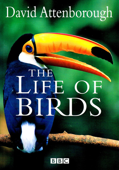 The Life of Birds