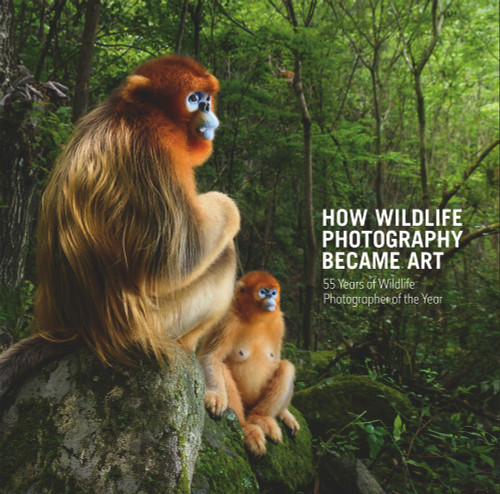 How Wildlife Photography Became Art: 55 Years of Wildlife