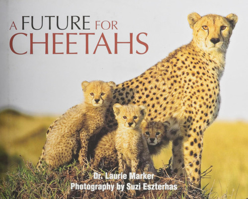 A Future For Cheetahs