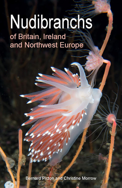 Nudibranchs of Britain Ireland and Northwest Europe